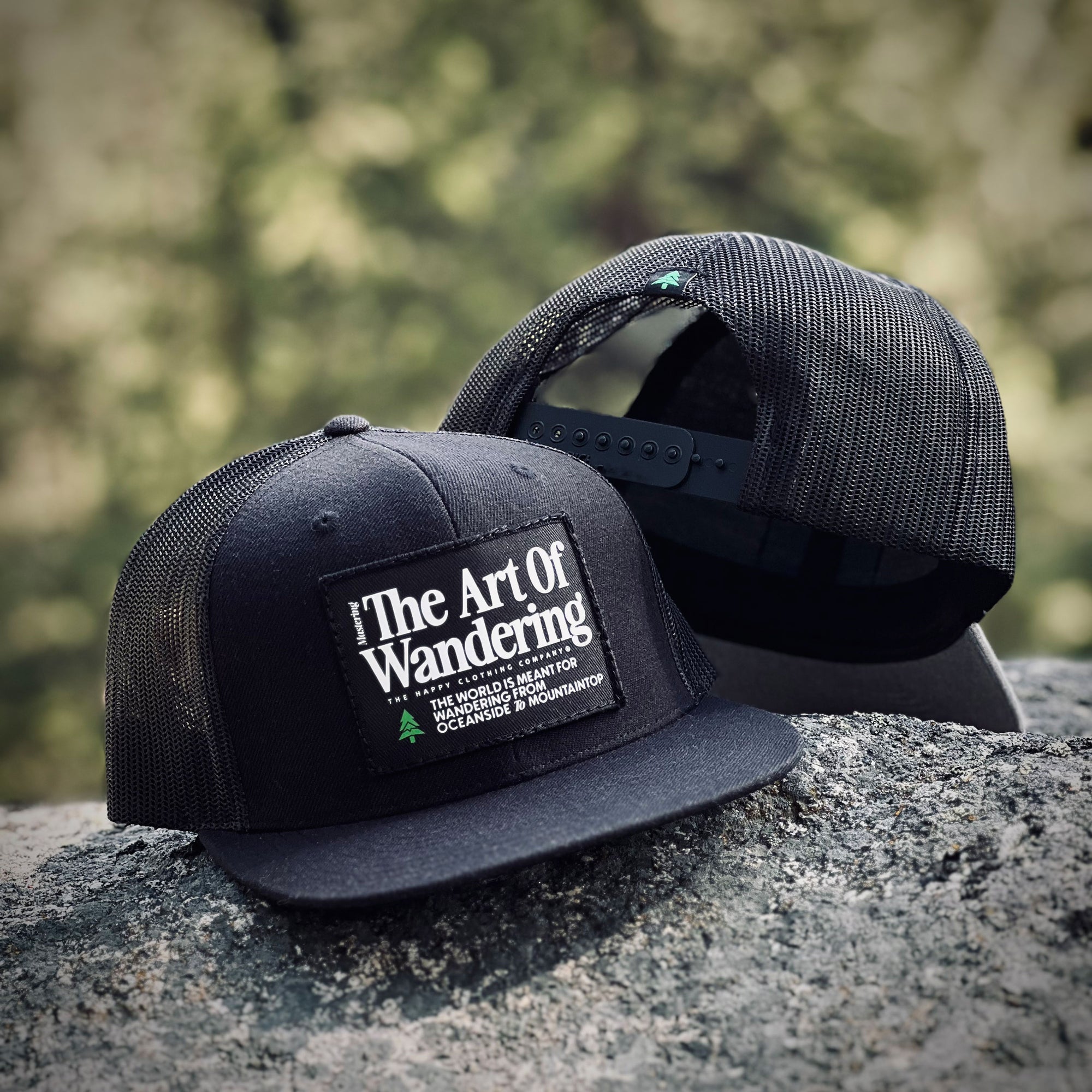 The Art Of Wandering Printed Patch Wool Front Snapback