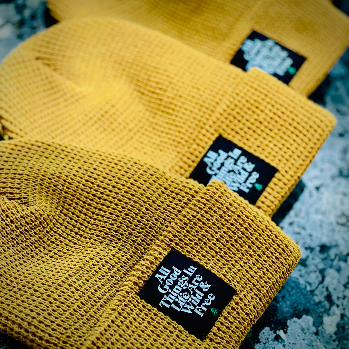 All Good Things Are Wild & Free Waffle Cuffed Beanie - The Happy Clothing Company
