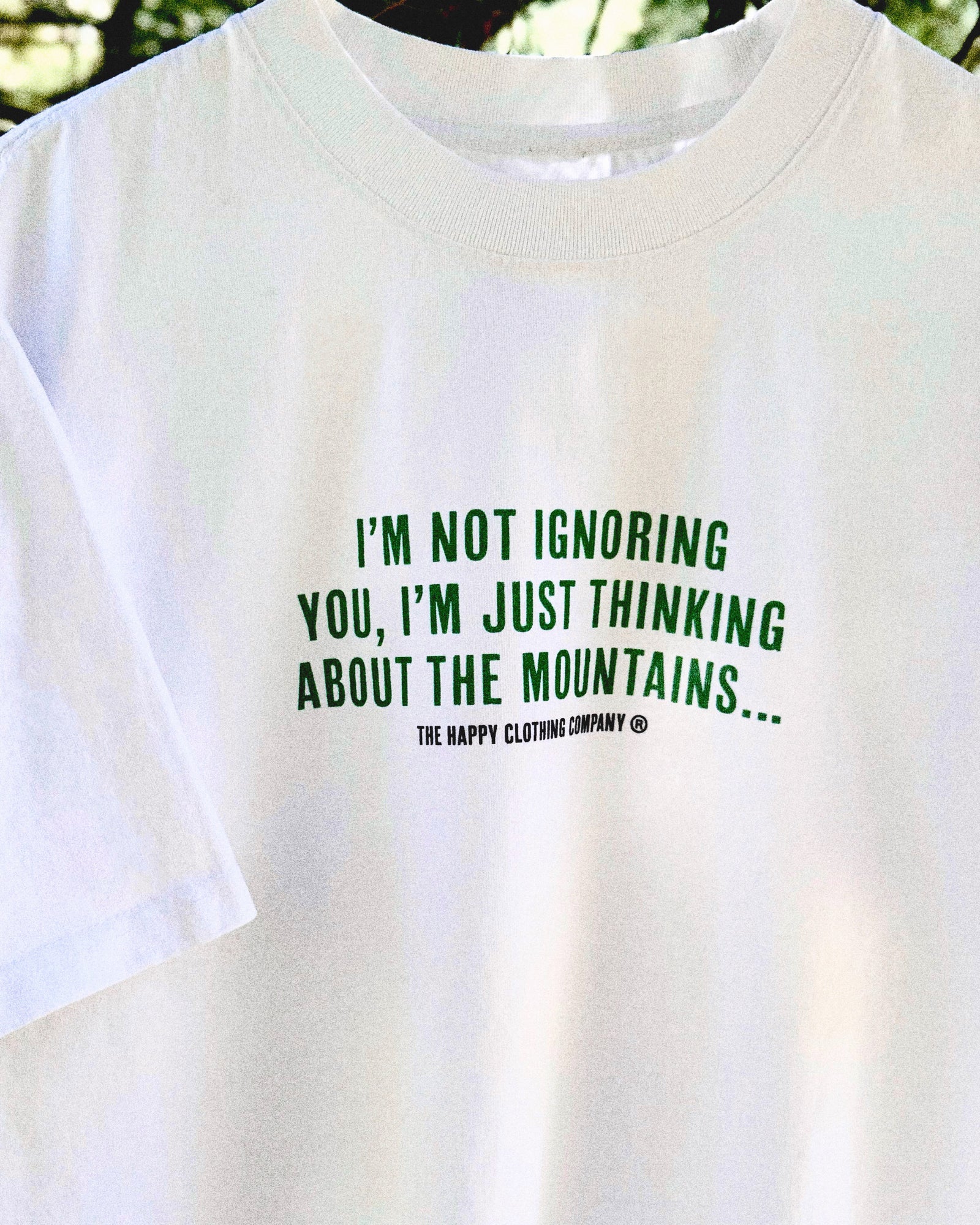 I'm Not Ignoring You Heavy Cotton Tee