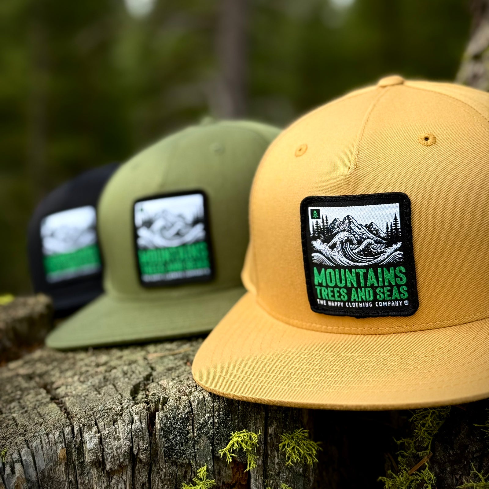 Mountains Trees and Seas 5 Panel Twill Snapback - The Happy Clothing Company