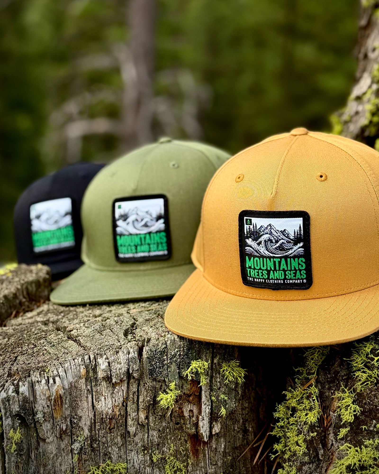 Mountains Trees and Seas 5 Panel Twill Snapback - The Happy Clothing Company