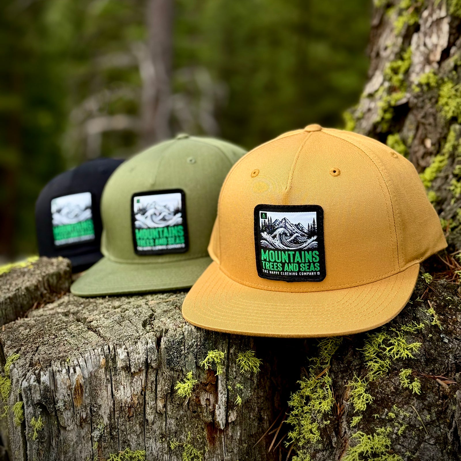 Mountains Trees and Seas 5 Panel Twill Snapback - The Happy Clothing Company